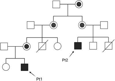 Case report: Variability in clinical features as a potential pitfall for the diagnosis of Barth syndrome